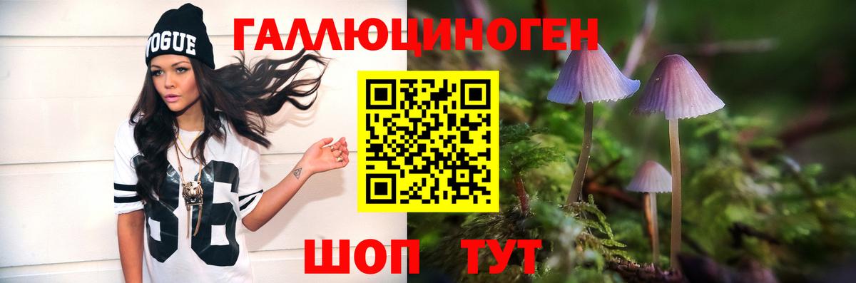 Галлюциногенные грибы Psilocybine cubensis Чернушка